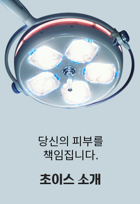 초이스소개